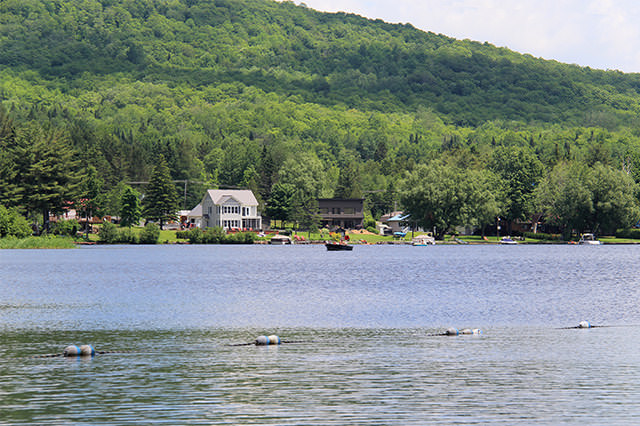 Vue du lac Wallace