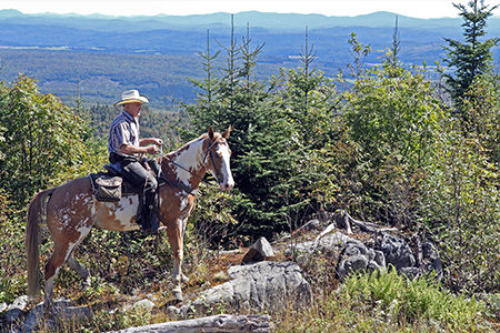 Mont-Hereford