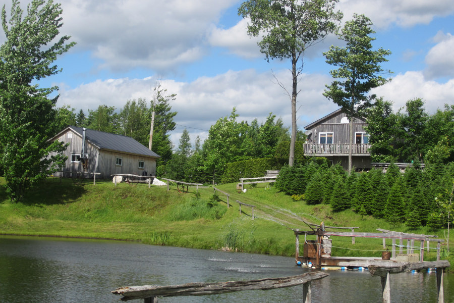 Chalet l'Eau T'antique